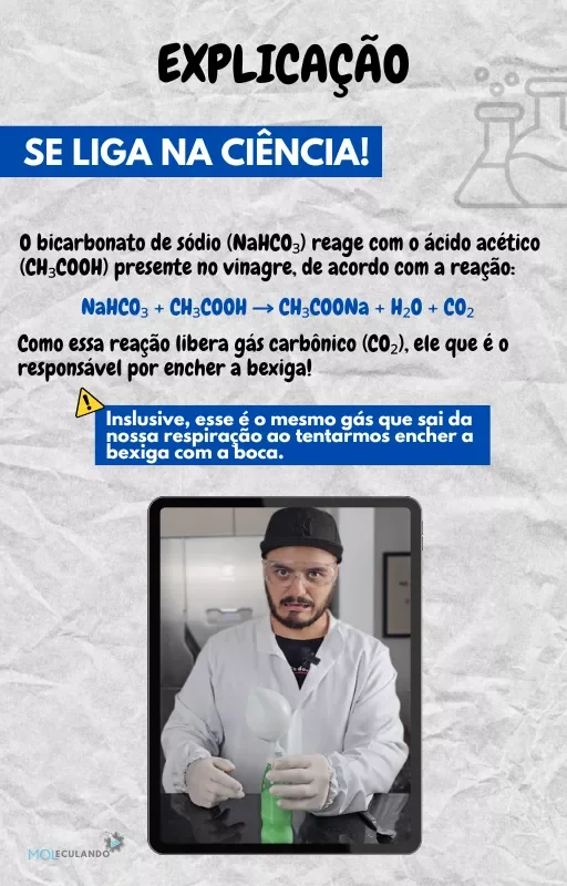 Página do Molecubook